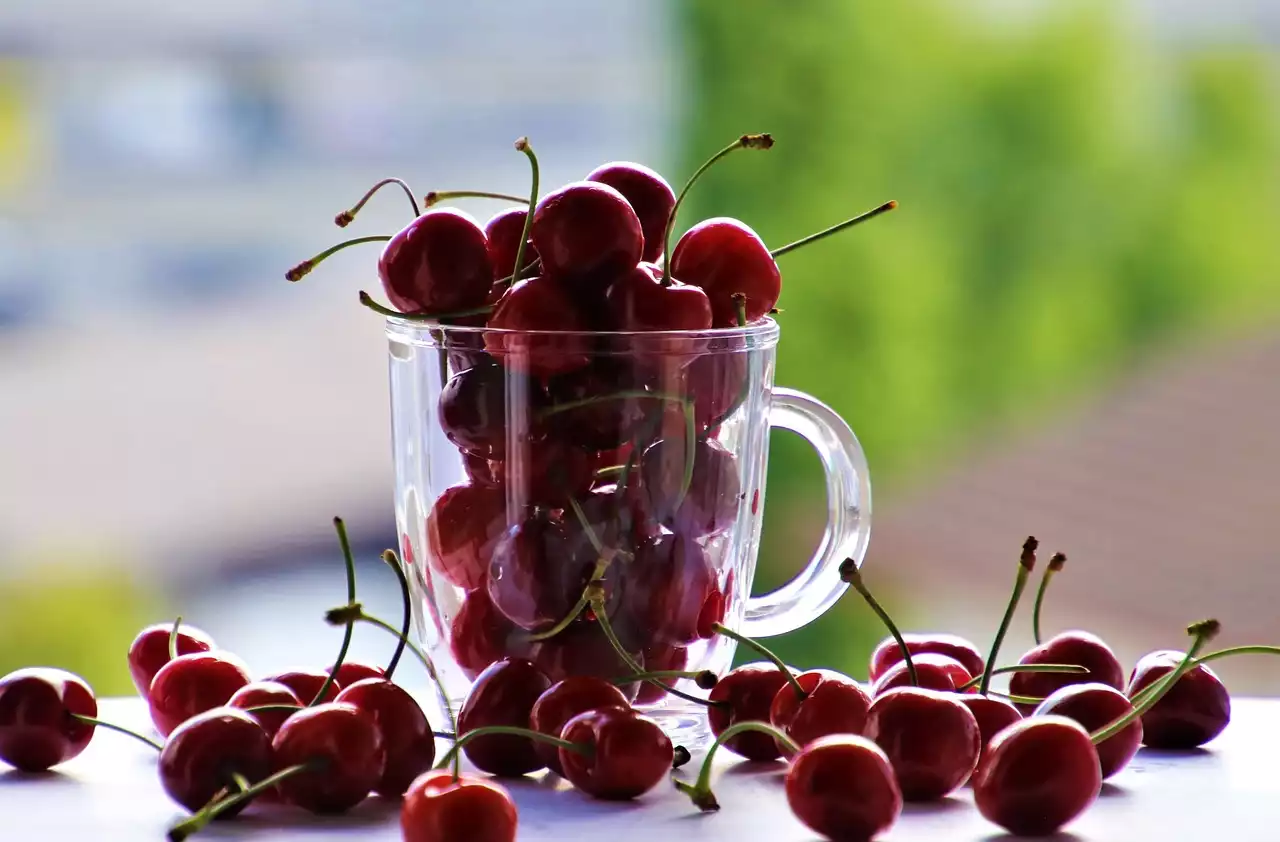 Die gesundheitlichen Vorteile des Verzehrs saisonaler und lokaler Produkte