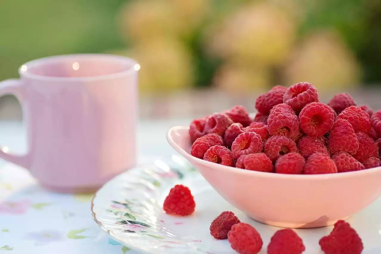 Warum Sie mehr Nüsse und Samen essen sollten: Nutzen für die Gesundheit, Arten und Nachhaltigkeit